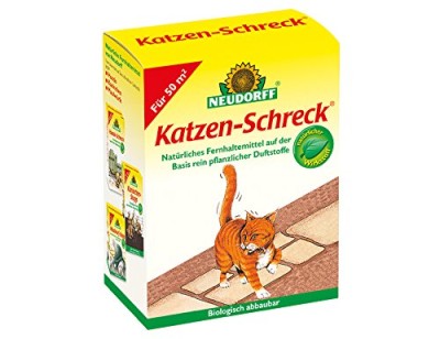 Katzen-Schreck